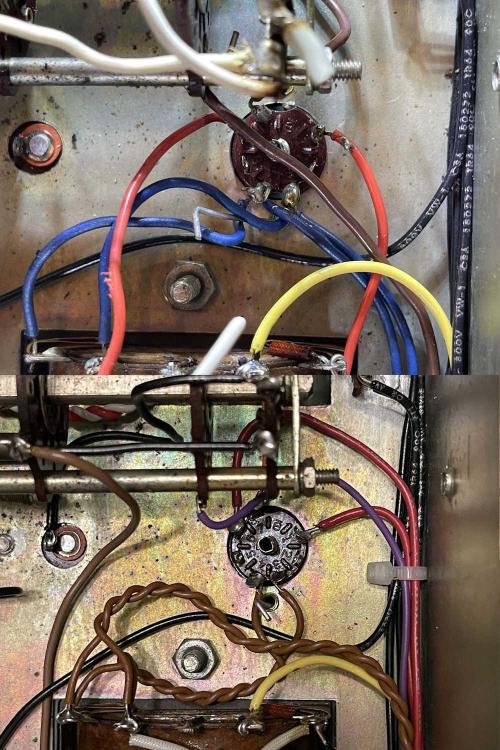 olsonte189-rebuild3ba3-wereboar.jpg